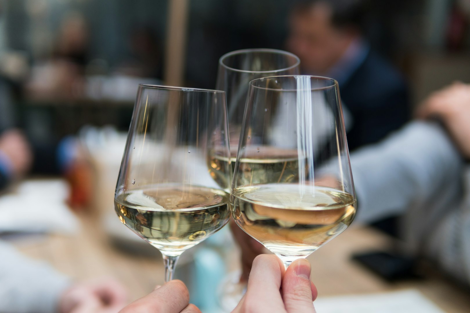 Lavoro nella Cantina Belcredi